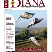 Diana nr.11 è in Edicola dal 03 novembre 2011 Diana nr.11 è in Edicola dal 05 novembre 2011